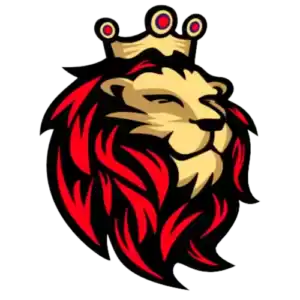 logo-dt